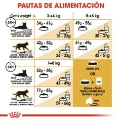 ROYAL CANIN British Shorthair Pienso Para Gato Adulto De Raza 26 ROYAL CANIN British Shorthair Pienso Para Gato Adulto De Raza -Animalear Ventas 3468 rc fbn britishsh cv4 5
