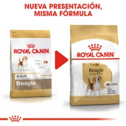 ROYAL CANIN Beagle Adult Pienso Para Perro Adulto De Raza -Animalear Ventas 39613 rc bhn beagle cv eretailkit 4 es es 6