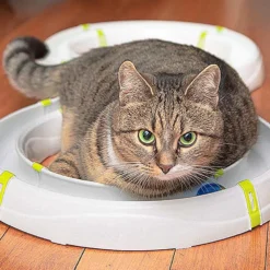 FERPLAST Circuito Typhon -Animalear Ventas 4 0190014515 1800x1800 63ac4a018e455