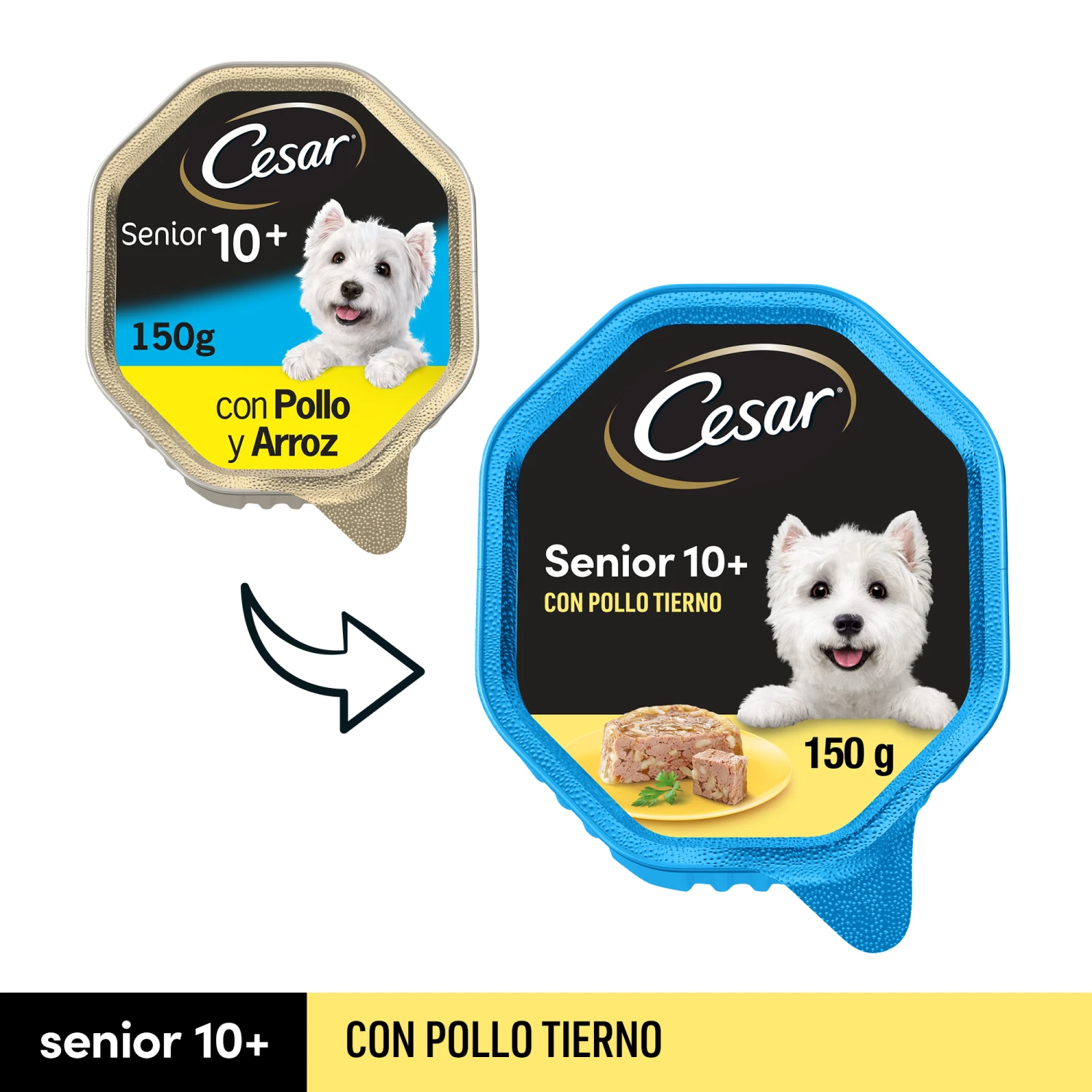 Pack 14 Comida Húmeda Para Perros Senior En Paté Con Pollo Y Arroz Tarrina 5 Pack 14 Comida Húmeda Para Perros Senior En Paté Con Pollo Y Arroz Tarrina - Imagen 3