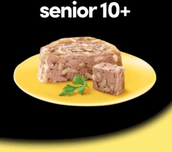 Pack 14 Comida Húmeda Para Perros Senior En Paté Con Pollo Y Arroz Tarrina 17 Pack 14 Comida Húmeda Para Perros Senior En Paté Con Pollo Y Arroz Tarrina -Animalear Ventas 40816 5