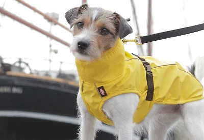 Trixie Impermeable Vimy Amarillo Para Perros 7 Trixie Impermeable Vimy Amarillo Para Perros - Imagen 5