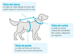 Trixie Impermeable Vimy Amarillo Para Perros 15 Trixie Impermeable Vimy Amarillo Para Perros -Animalear Ventas 426360 1