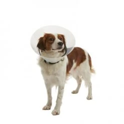 Ferribiella Collar Isabelino 8 Ferribiella Collar Isabelino -Animalear Ventas 429635 colarisabelino 2