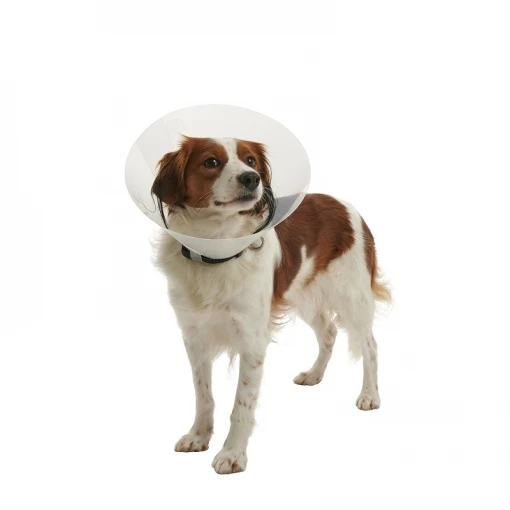 Ferribiella Collar Isabelino 5 Ferribiella Collar Isabelino - Imagen 3