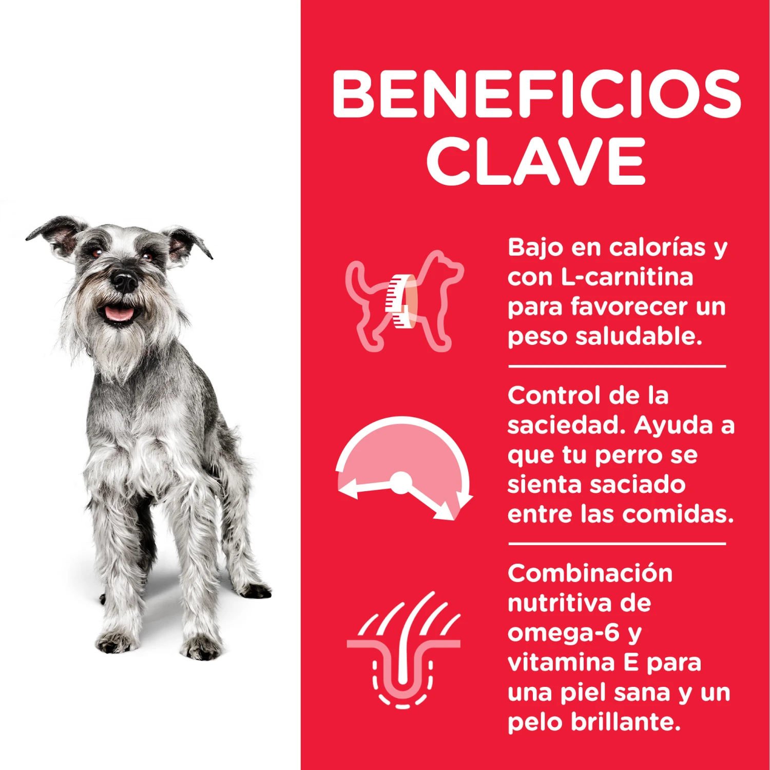 Hill's Science Plan Senior +7 Light Small & Mini Pollo 6 Hill's Science Plan Senior +7 Light Small & Mini Pollo - Imagen 4