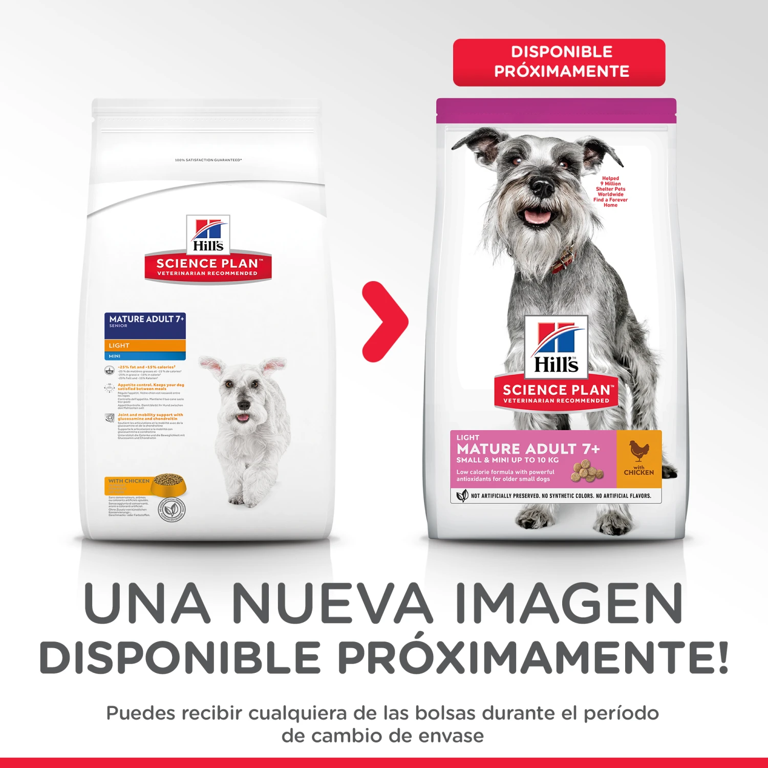 Hill's Science Plan Senior +7 Light Small & Mini Pollo 4 Hill's Science Plan Senior +7 Light Small & Mini Pollo - Imagen 2