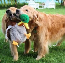 KONG Peluche Shakers Con Sonido Pato -Animalear Ventas 44fd0053481782d52a5b3c777d44 64f24397e81a1