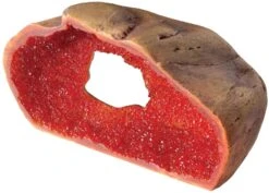 EXO TERRA ExoTerraCrystal Cave Grande