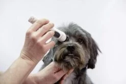 ARTERO Máquina Exacta -Animalear Ventas 51lj7d3erkl ac sl1000 6343e28460dcb