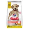 Hill's Science Plan Puppy Large Breed Perfect Digestion Con Pollo Y Arroz 1 Hill's Science Plan Puppy Large Breed Perfect Digestion Con Pollo Y Arroz -Animalear Ventas 52742053486