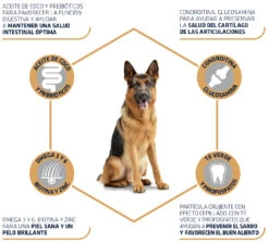 Advance Canine Pastor Alemán -Animalear Ventas 538 3 4