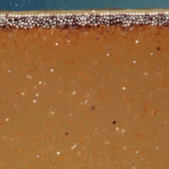 JBL Artemiopur -Animalear Ventas 55622 62e28f627ec8c