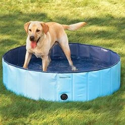Trixie Piscina Para Perros Azul -Animalear Ventas 61Wwcy7Dx8L 62a751904e102