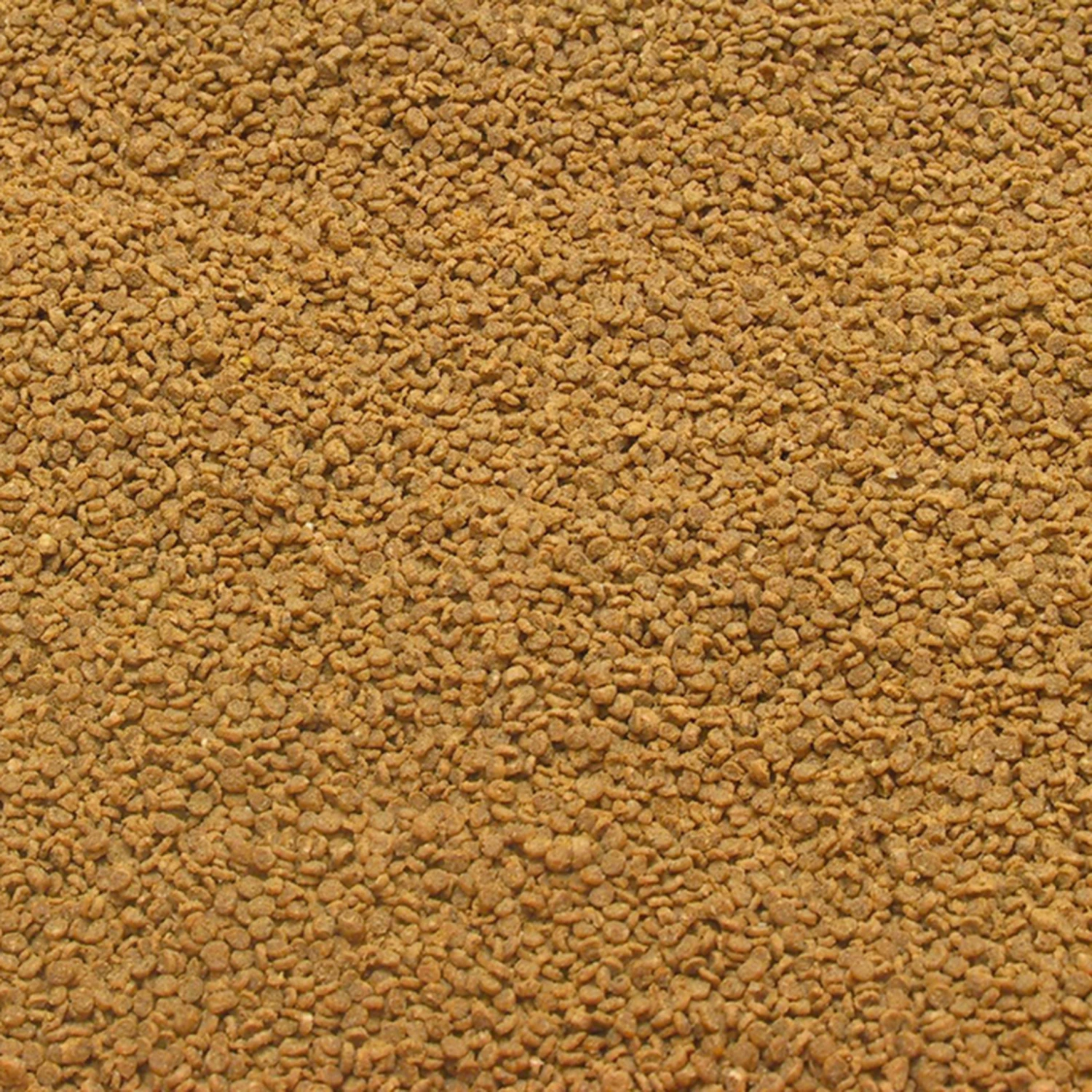 JBL Grana Click 5 JBL Grana Click - Imagen 3