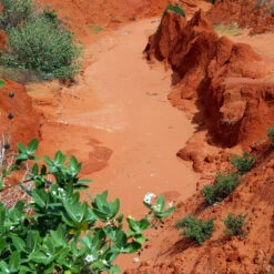 JBL Terrasand Rojo -Animalear Ventas 65168 63232a99def4d