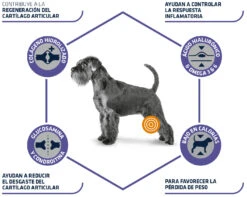 Advance Canine VD Articular Care Reduced Calorie -Animalear Ventas 67678 3 4