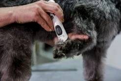 ARTERO Máquina Exacta -Animalear Ventas 71nduicb86s ac sl1500 6343e2858140f