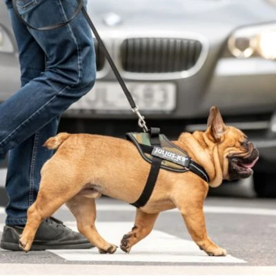 Julius K9 Arnés IDC Camuflaje 4 Julius K9 Arnés IDC Camuflaje - Imagen 2