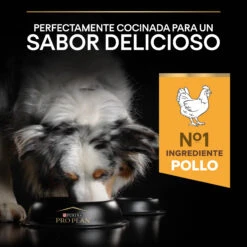 PRO PLAN Optibalance Adult De Pollo Mediano 18 PRO PLAN Optibalance Adult De Pollo Mediano -Animalear Ventas 7613035120488 7 64d4f11f93aeb