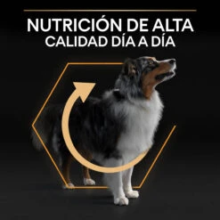 PRO PLAN Optibalance Adult De Pollo Mediano 19 PRO PLAN Optibalance Adult De Pollo Mediano -Animalear Ventas 7613035120488 8 64d4f11f95658