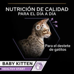 PRO PLAN Pack 24 Baby Kitten De Pollo -Animalear Ventas 7613036693462 3 64d4f08947755