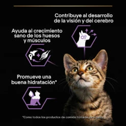 PRO PLAN Pack 24 Baby Kitten De Pollo -Animalear Ventas 7613036693462 4 64d4f089492aa