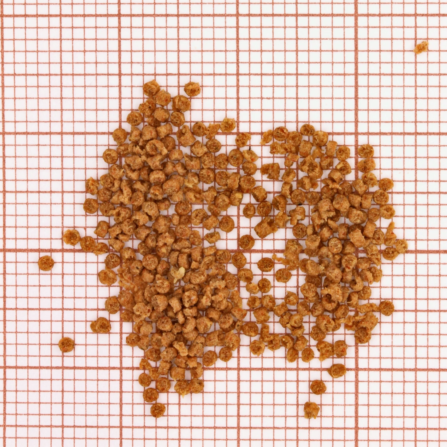 JBL Grana Click 7 JBL Grana Click - Imagen 5