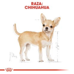 ROYAL CANIN Pack 12 Chihuahua Adult Húmedo -Animalear Ventas 80296 rc bhn wet chihuahua cv eretailkit 1 es es 5