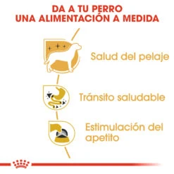 ROYAL CANIN Pack 12 Chihuahua Adult Húmedo -Animalear Ventas 80296 rc bhn wet chihuahua cv eretailkit 3 es es 3
