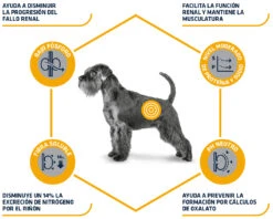 Advance Canine VD Renal Failure -Animalear Ventas 82717 3 3