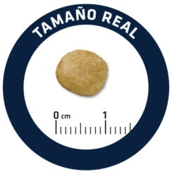 Advance Canine VD Renal Failure -Animalear Ventas 82717 5 5