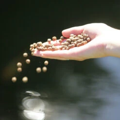 JBL Propond All Seasons S -Animalear Ventas 82824 61fd112458d88