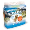 Pads 90x60 Economic -Animalear Ventas 8435117819535
