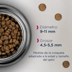 EUKANUBA Cat Adult (Pollo) 6 EUKANUBA Cat Adult (Pollo) -Animalear Ventas 8710255121574 637f64837e347