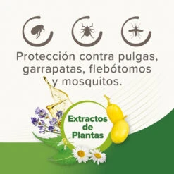 BEAPHAR Pipetas Antiparasitarias Raza Grande -Animalear Ventas 8711231106165 PT03 64c78f06bce7b