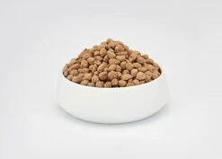 BEAPHAR Pienso Care+ Conejo -Animalear Ventas 8711231129881 6 64a6b57babd29