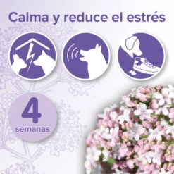 BEAPHAR No Stress Pack Difusor Y Recarga Para Perros -Animalear Ventas 8711231148981 2 64c78b9f11e35