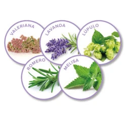 BEAPHAR No Stress Pack Difusor Y Recarga Para Perros -Animalear Ventas 8711231148981 3 64c78b9f139c1