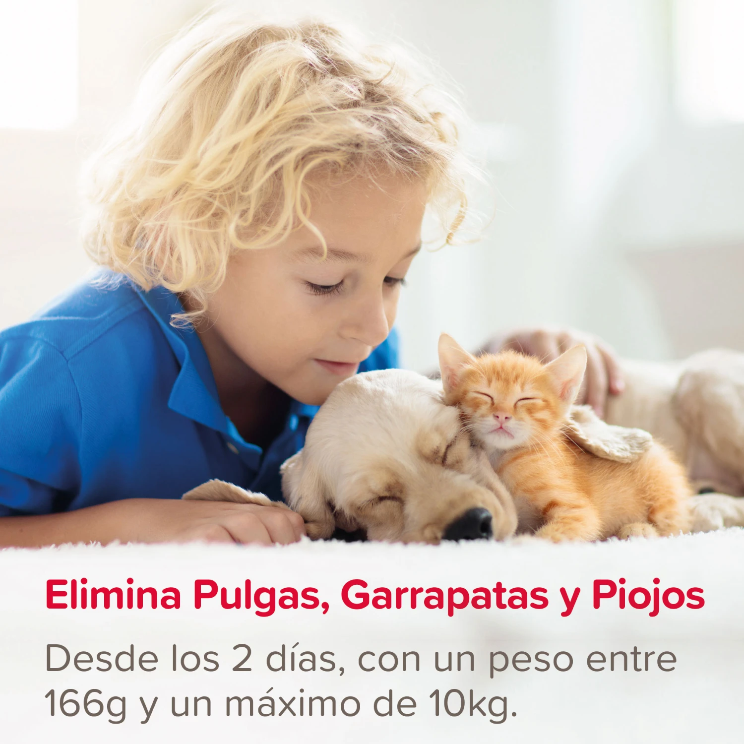 Spray Antiparasitario Para Gatos Y Perros (2,5mg/ml) 4 Spray Antiparasitario Para Gatos Y Perros (2,5mg/ml) - Imagen 2