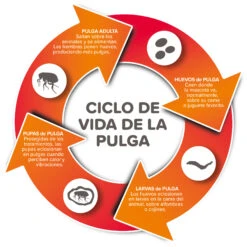 Spray Antiparasitario Para Gatos Y Perros (2,5mg/ml) 10 Spray Antiparasitario Para Gatos Y Perros (2,5mg/ml) -Animalear Ventas 8711231154081 2 64a6c495da565