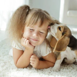 Spray Antiparasitario Para Gatos Y Perros (2,5mg/ml) 12 Spray Antiparasitario Para Gatos Y Perros (2,5mg/ml) -Animalear Ventas 8711231154081 2