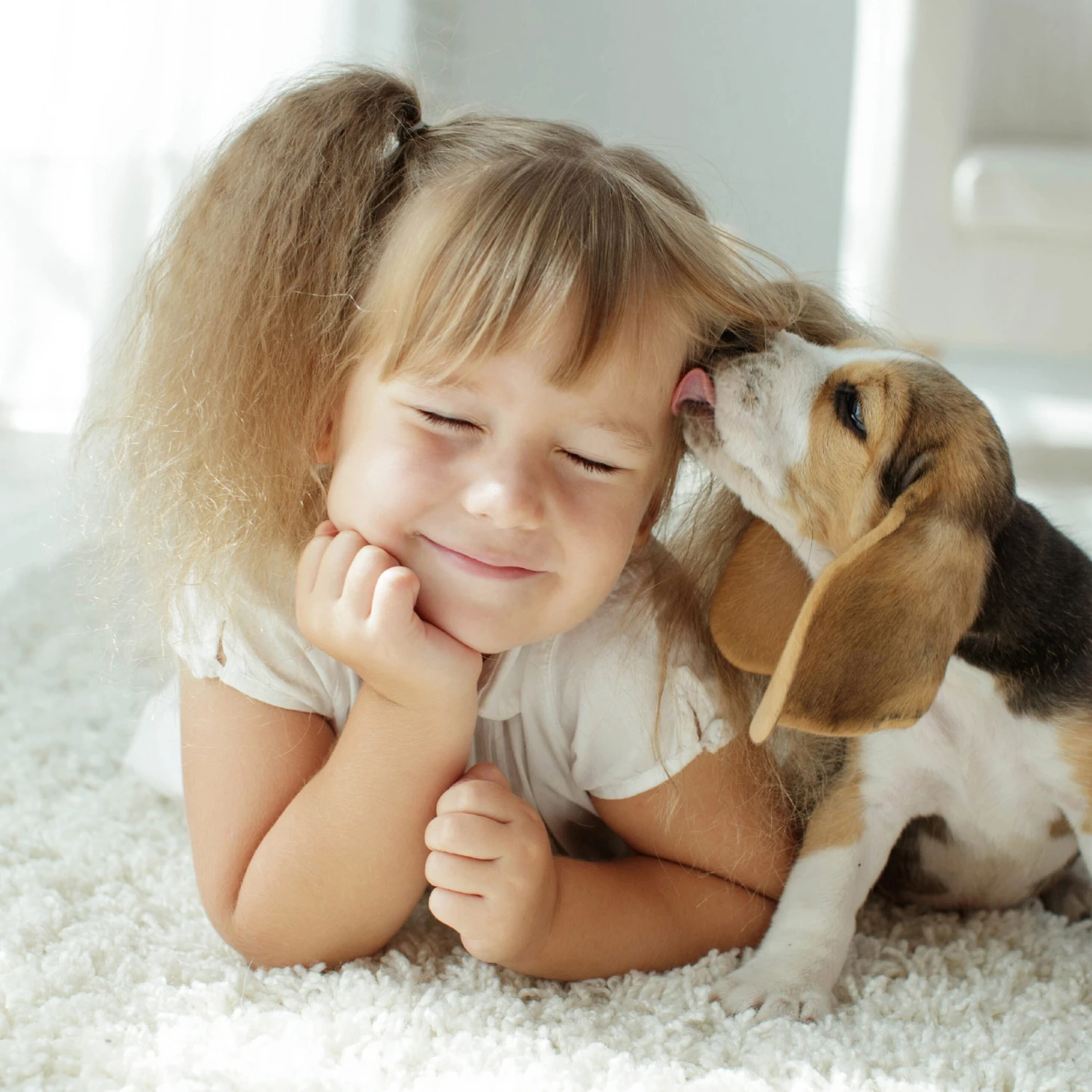 Spray Antiparasitario Para Gatos Y Perros (2,5mg/ml) 7 Spray Antiparasitario Para Gatos Y Perros (2,5mg/ml) - Imagen 5