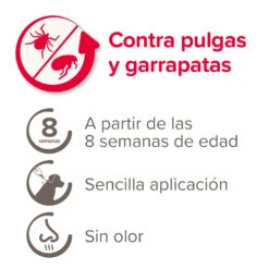 BEAPHAR Spot On Para Perros Grandes De 20-40 Kg -Animalear Ventas 8711231164790 3 64a6c55ddb2c0