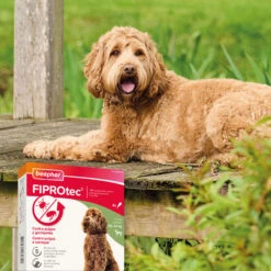 BEAPHAR Spot On Para Perros Grandes De 20-40 Kg -Animalear Ventas 8711231164790 6 64a6c55de32ec