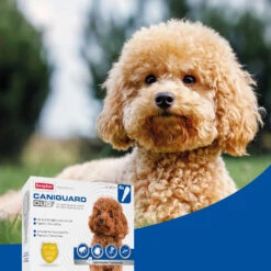 BEAPHAR Pipetas Caniguard Duo Para Perros De 1,4-4 Kg 12 BEAPHAR Pipetas Caniguard Duo Para Perros De 1,4-4 Kg -Animalear Ventas 8711231170425 4 64c78c0881b42
