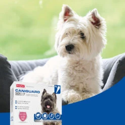 BEAPHAR Pipeta Caniguard Duo Solución Spot-On Para Perros De 4-10 Kg (67 Mg/600 Mg) 12 BEAPHAR Pipeta Caniguard Duo Solución Spot-On Para Perros De 4-10 Kg (67 Mg/600 Mg) -Animalear Ventas 8711231170432 4 64c78c207f6b2