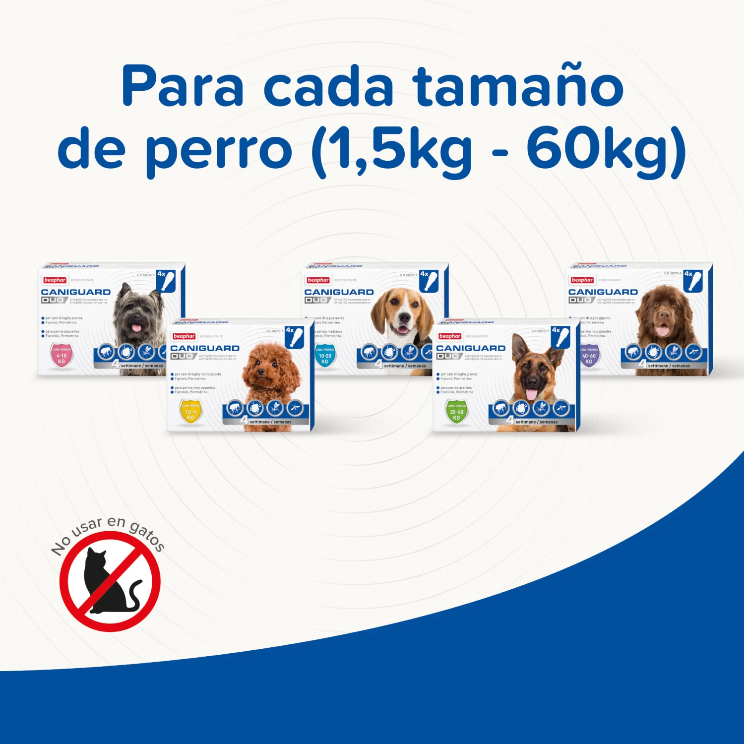 BEAPHAR Pipeta Caniguard Duo Solución Spot-On Para Perros De 4-10 Kg (67 Mg/600 Mg) 8 BEAPHAR Pipeta Caniguard Duo Solución Spot-On Para Perros De 4-10 Kg (67 Mg/600 Mg) - Imagen 6