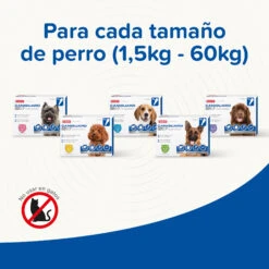 BEAPHAR Pipeta Caniguard Duo Solución Spot-On Para Perros De 10-20 Kg (134 Mg/1200 Mg) 13 BEAPHAR Pipeta Caniguard Duo Solución Spot-On Para Perros De 10-20 Kg (134 Mg/1200 Mg) -Animalear Ventas 8711231170449 5 64c78c3ac02ad