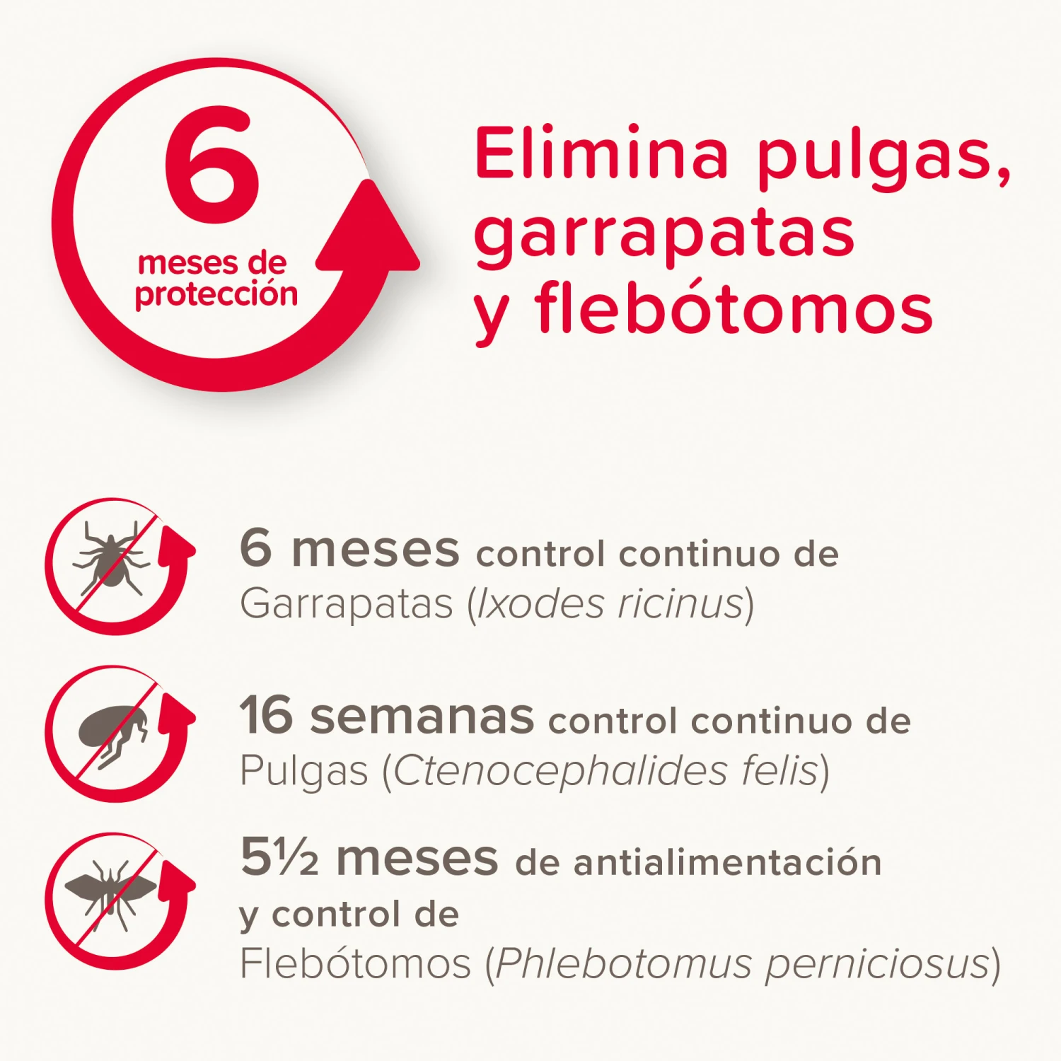 BEAPHAR Collar Canishield Antiparásitos Para Perros Pequeños 5 BEAPHAR Collar Canishield Antiparásitos Para Perros Pequeños - Imagen 3